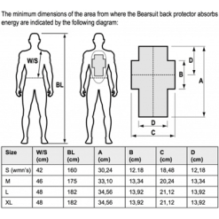 Sweet Bearsuit Backprotection -Ski Helm sweet protection bearsuit 1
